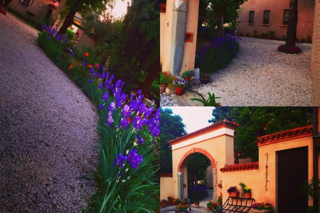 Photo of Others in Passirano