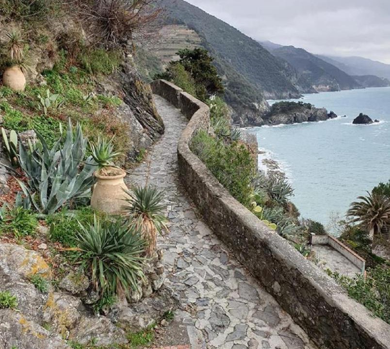 Photo of Others in Monterosso al Mare