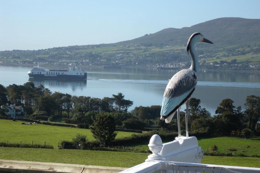 Photo of Others in Newry
