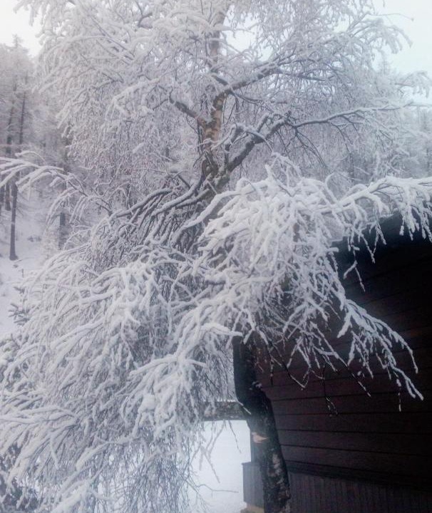 Photo of Outdoor in Sestriere