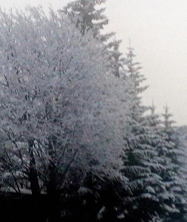Photo of Outdoor in Sestriere