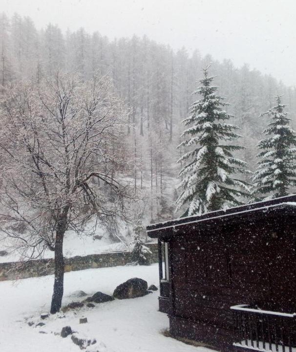 Photo of Others in Sestriere