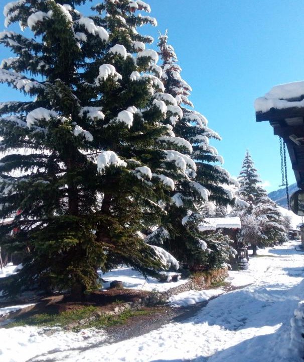 Photo of Buildings in Sestriere