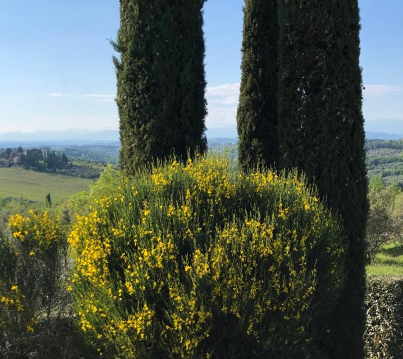Photo of Others in Montespertoli