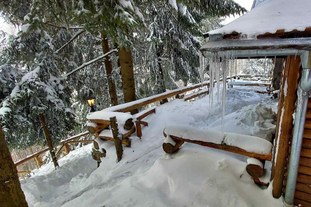 Photo of Buildings in Kopaonik