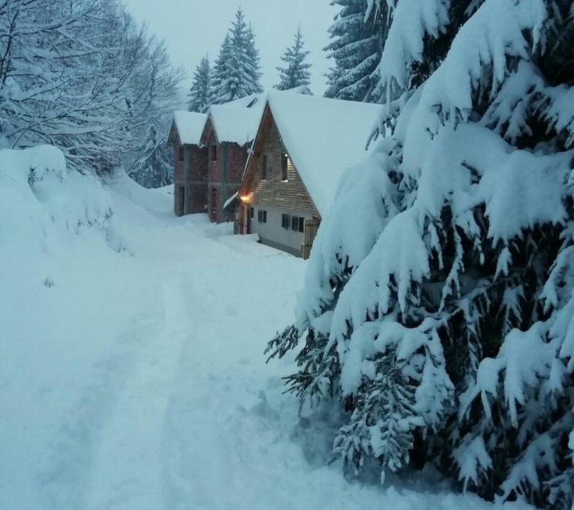 Photo of Others in Kopaonik