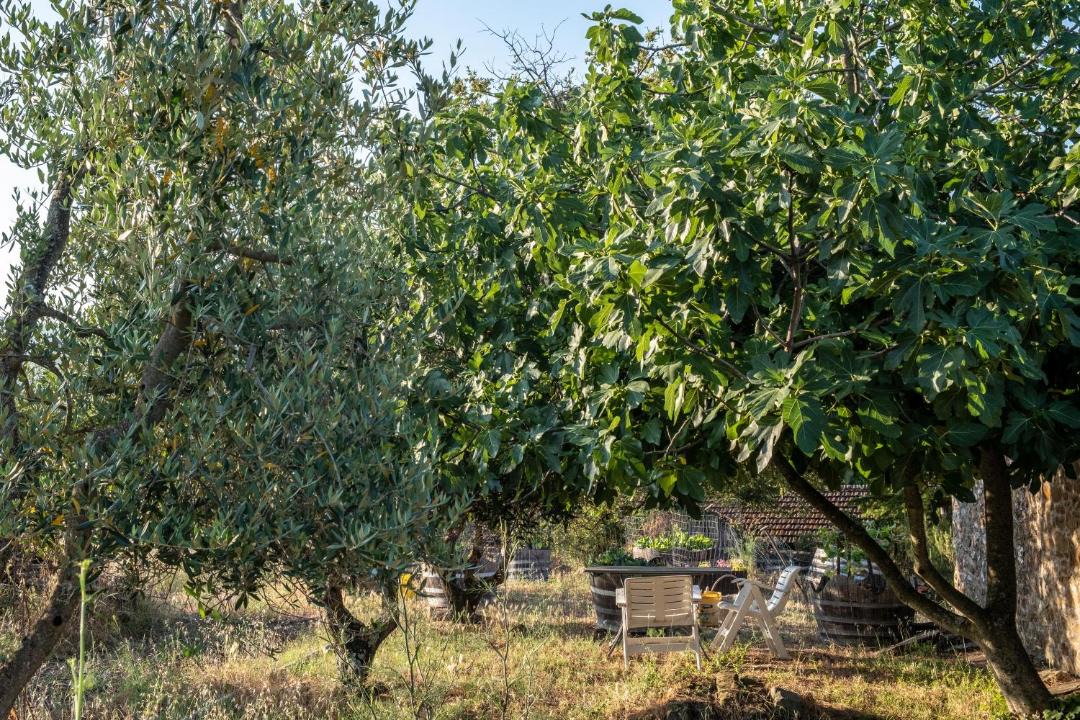 Photo of Outdoor in Radda in Chianti
