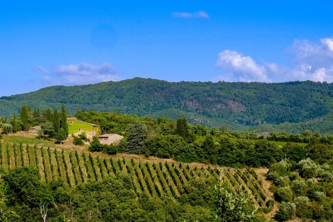 Photo of Outdoor in Radda in Chianti