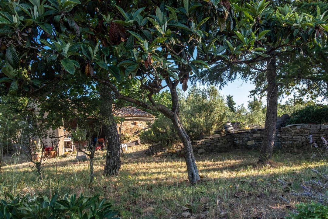 Photo of Outdoor in Radda in Chianti
