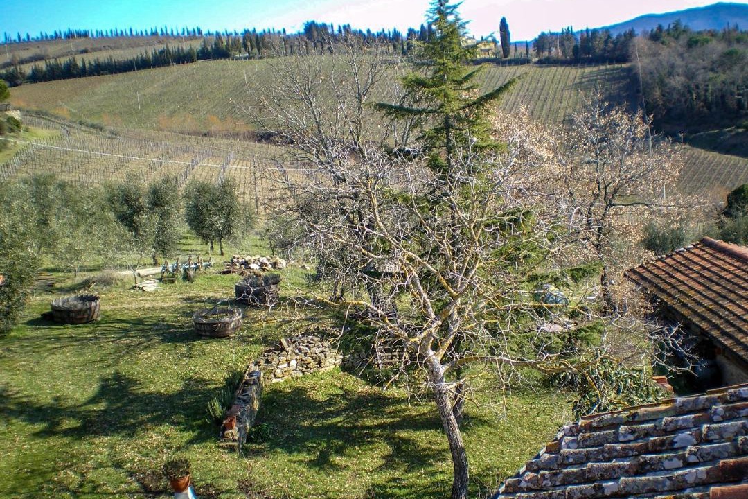 Photo of Others in Radda in Chianti