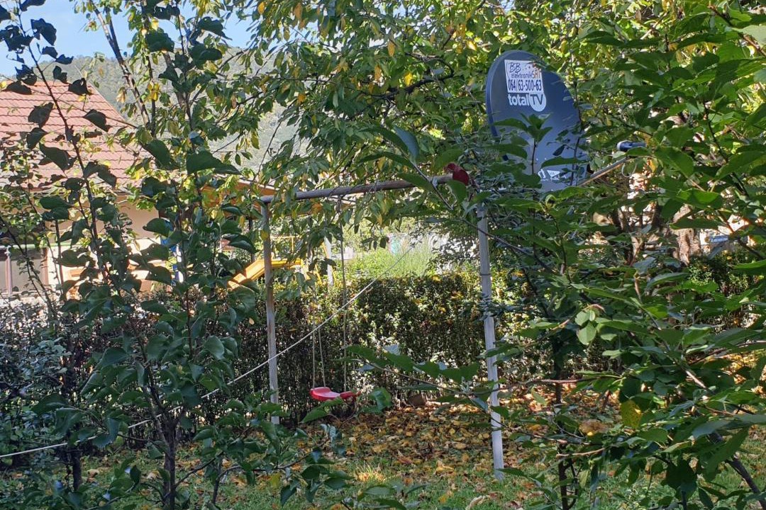 Photo of Outdoor in Bajina Basta