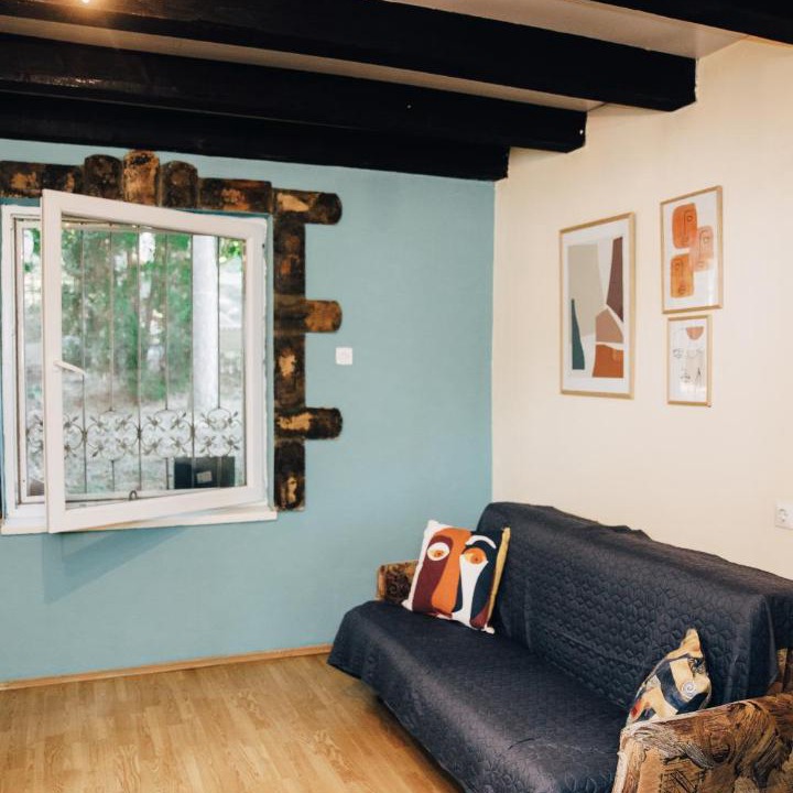Photo of Livingroom in Petrovaradin