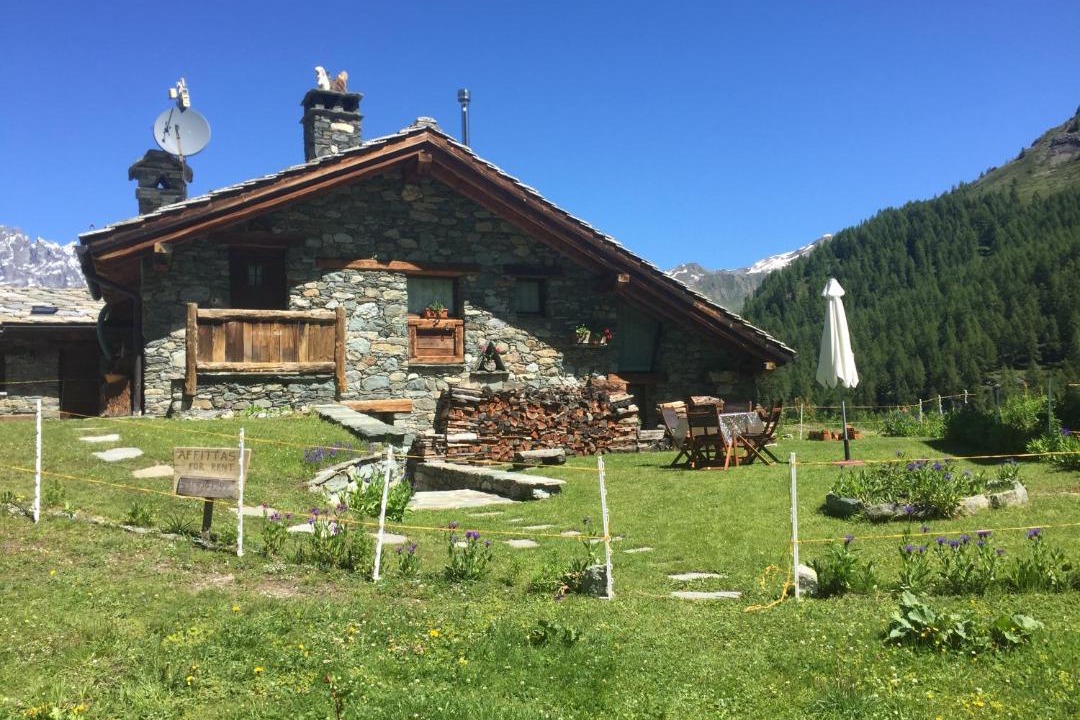 Photo of Others in Valtournenche