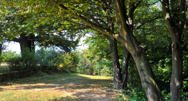 Photo of Outdoor in San Salvatore Monferrato