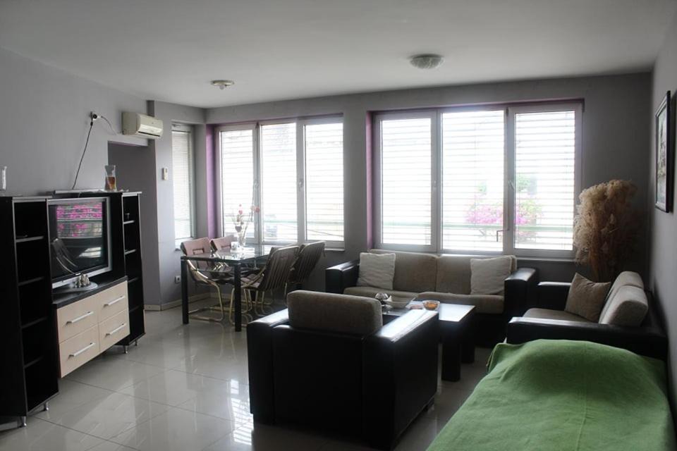 Photo of Livingroom in Vrsac