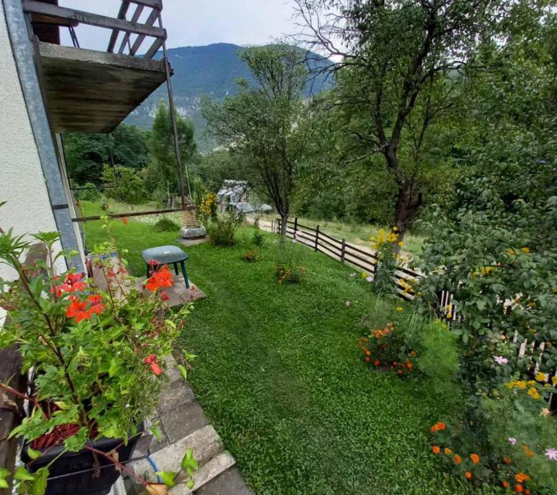 Photo of Others in Mokra Gora