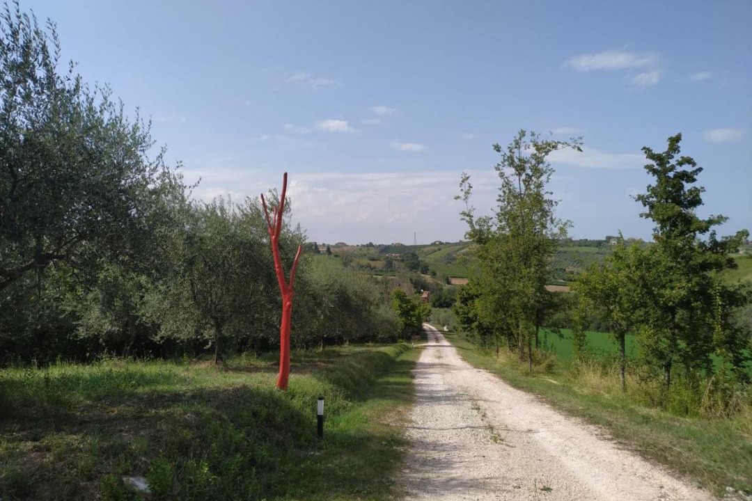 Photo of Others in Falciano