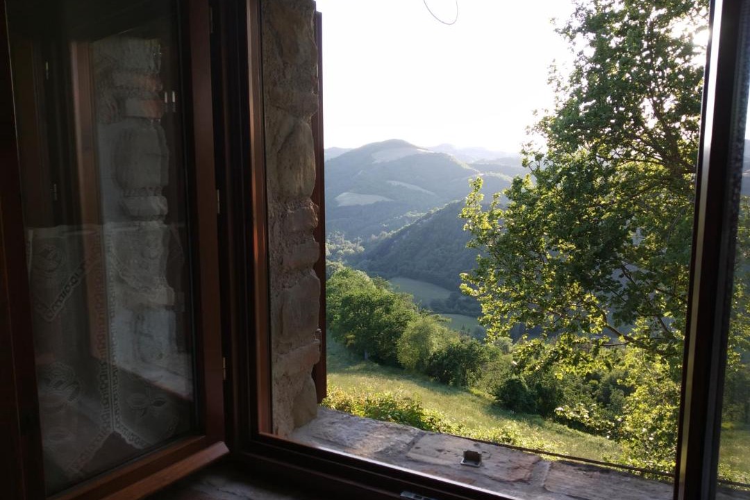 Photo of Others in Urbino