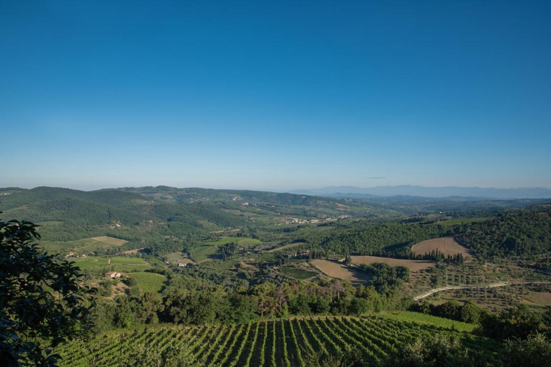 Photo of Others in Greve in Chianti