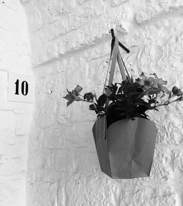 Photo of Others in Alberobello