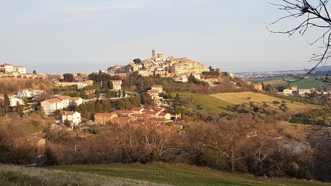 Photo of Others in Civitanova Alta