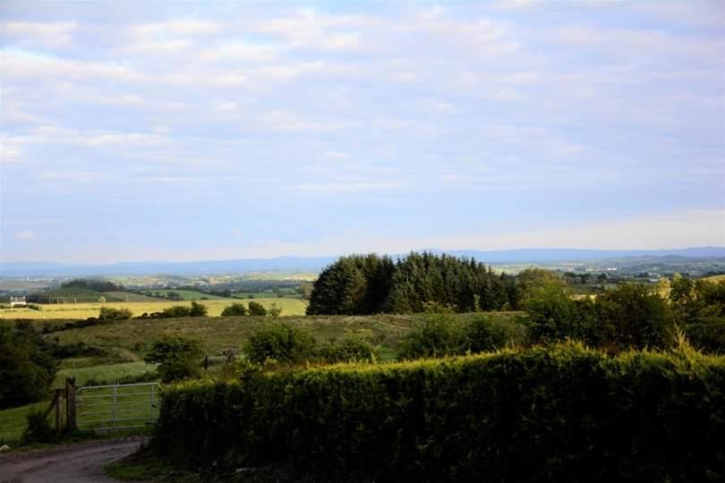 Photo of Others in Dungannon