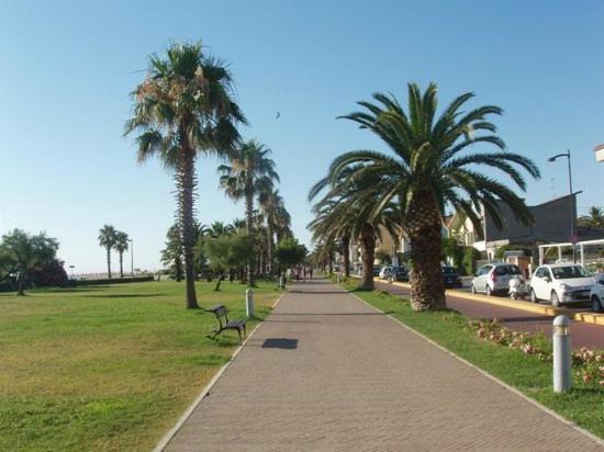 Photo of Others in Porto Sant'Elpidio