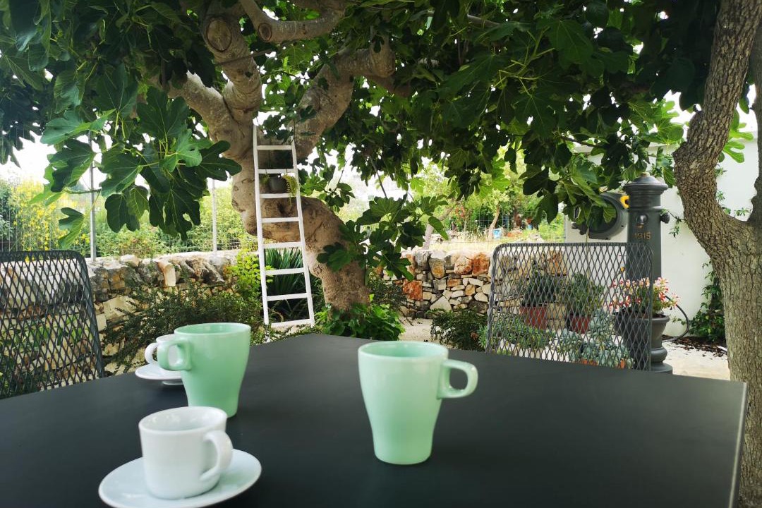 Photo of Patio Balcony in The Trulli of Alberobello