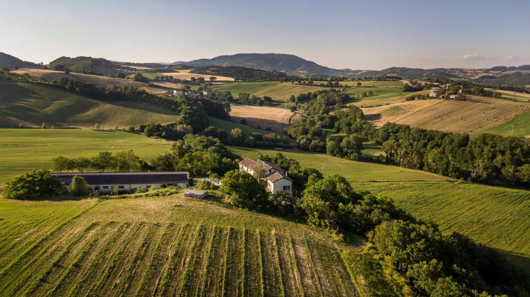 Photo of Others in Sassoferrato