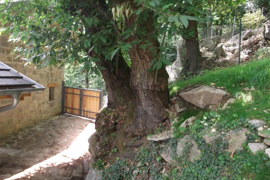 Photo of Others in Prati Meriggi