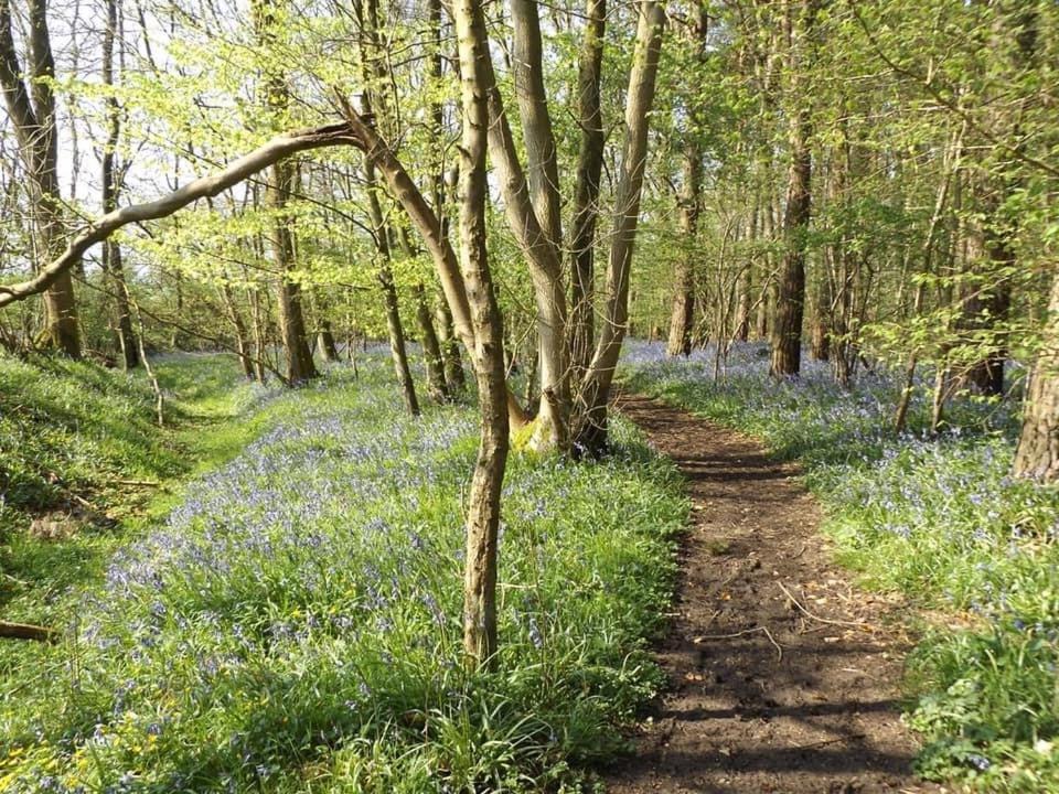 Photo of Others in Brackley