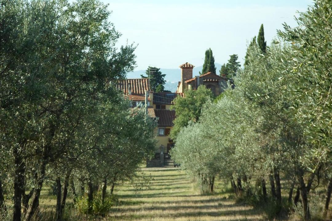 Photo of Outdoor in Ponte Buriano