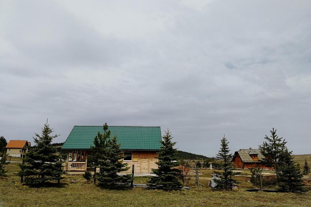 Photo of Others in Zlatibor