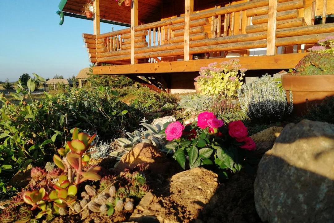 Photo of Others in Zlatibor