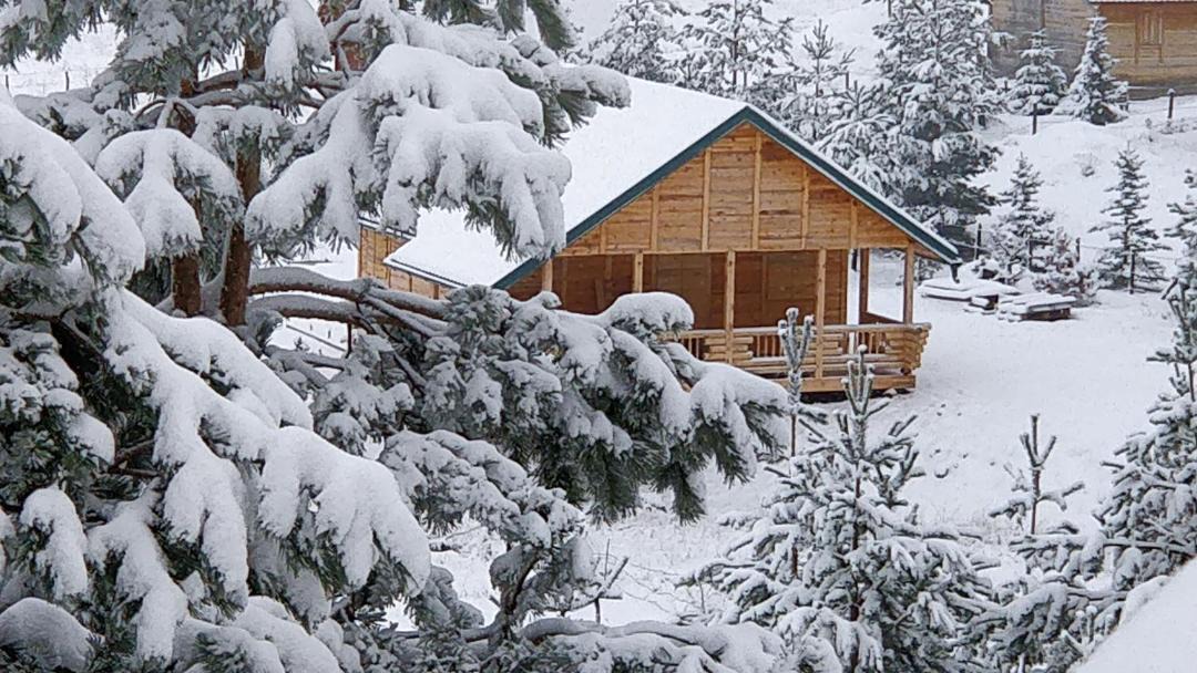 Photo of Others in Zlatibor
