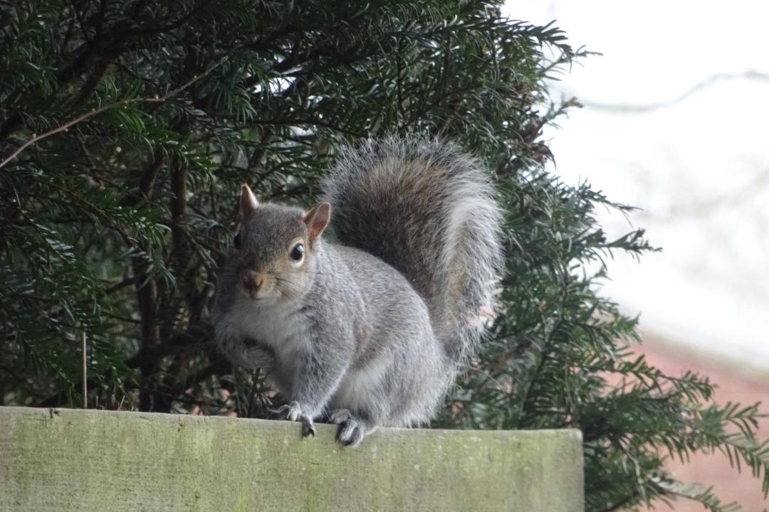 Photo of Others in York