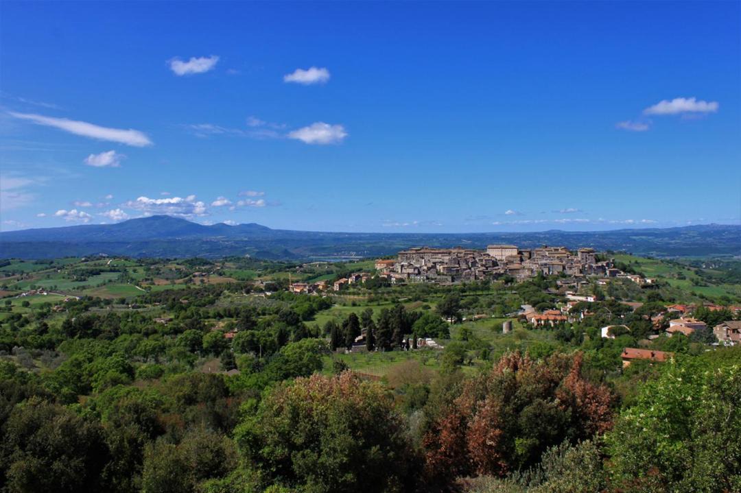 Photo of Others in Lugnano in Teverina