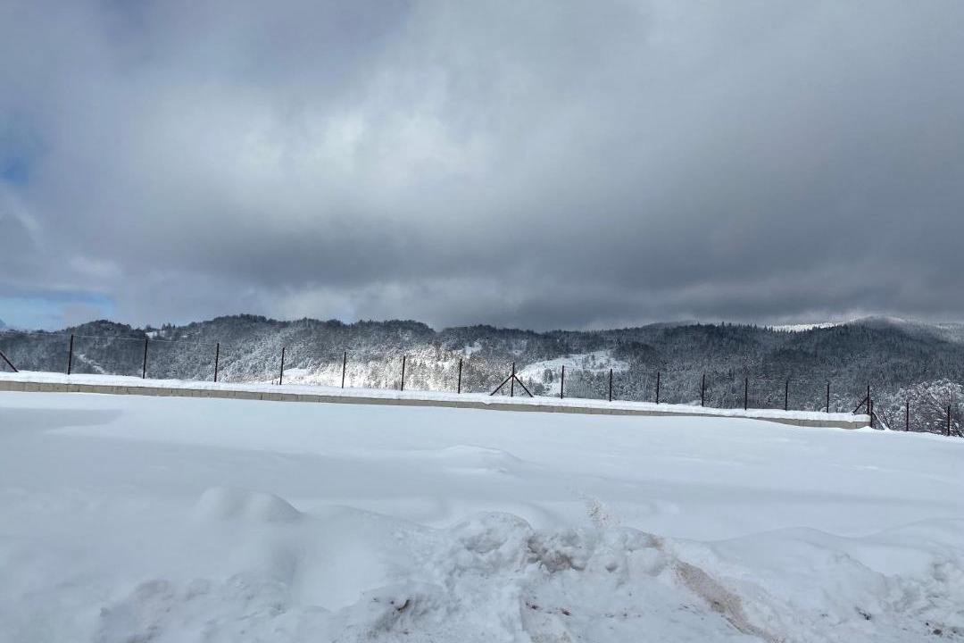 Photo of Outdoor in Lisina