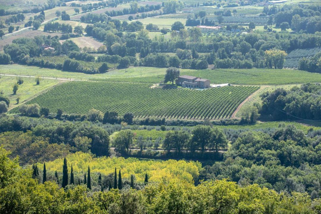 Photo of Outdoor in Civitella in Val di Chiana