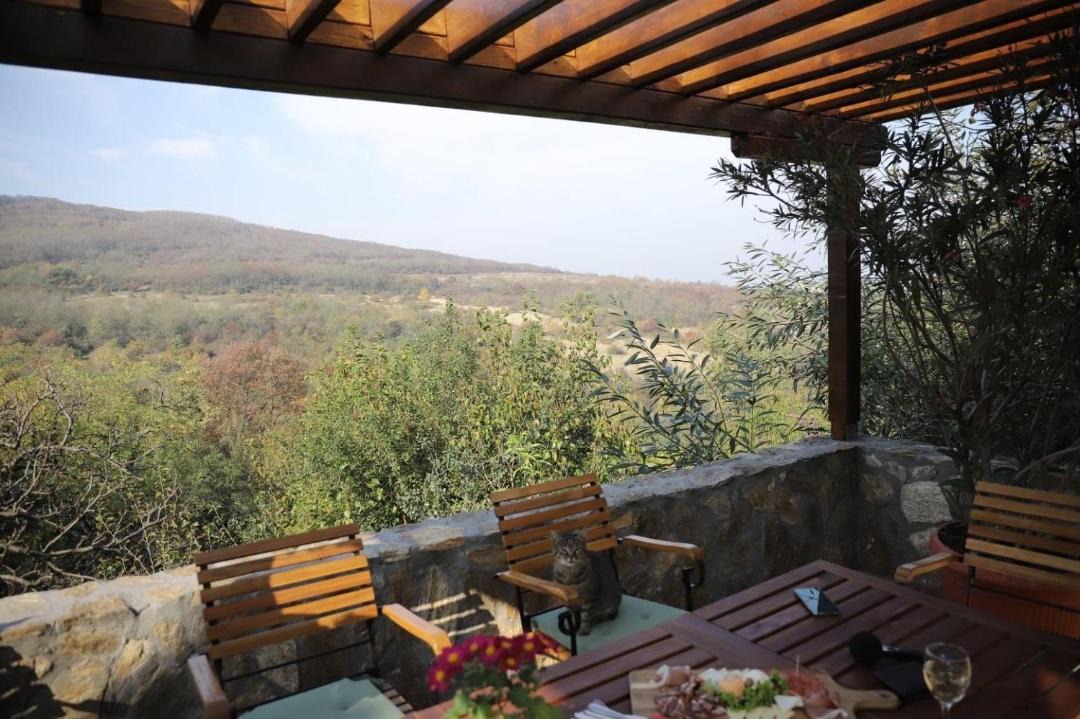 Photo of Patio Balcony in Vrsac