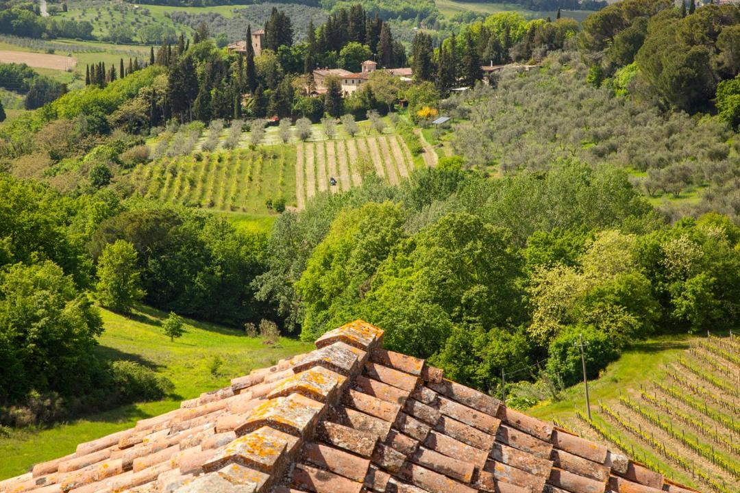 Photo of Others in Tavarnelle Val di Pesa