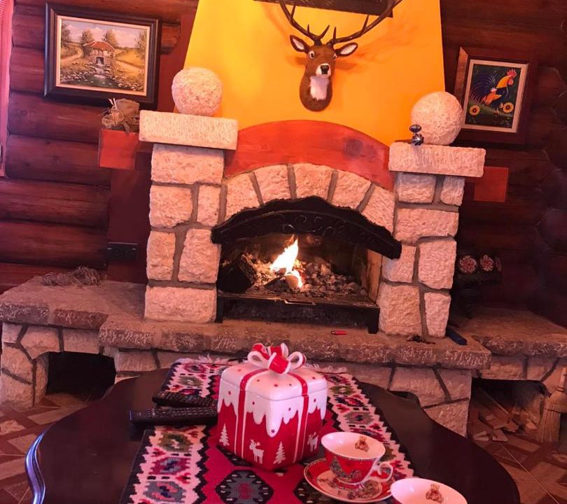 Photo of Livingroom in Zlatibor