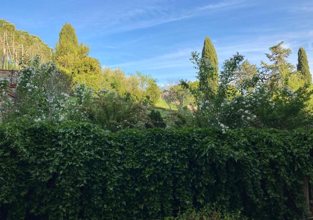 Photo of Others in Panzano in Chianti