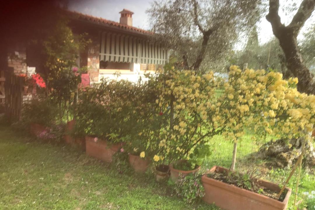 Photo of Others in Moniga del Garda
