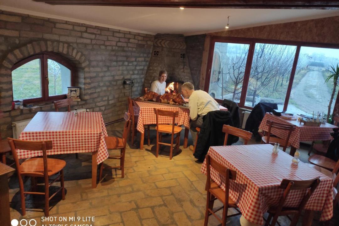 Photo of Others in Novi Sad