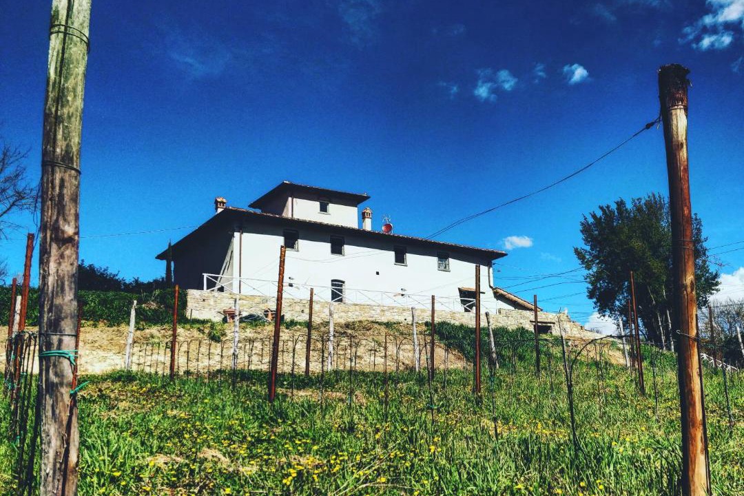Photo of Others in Cavriglia