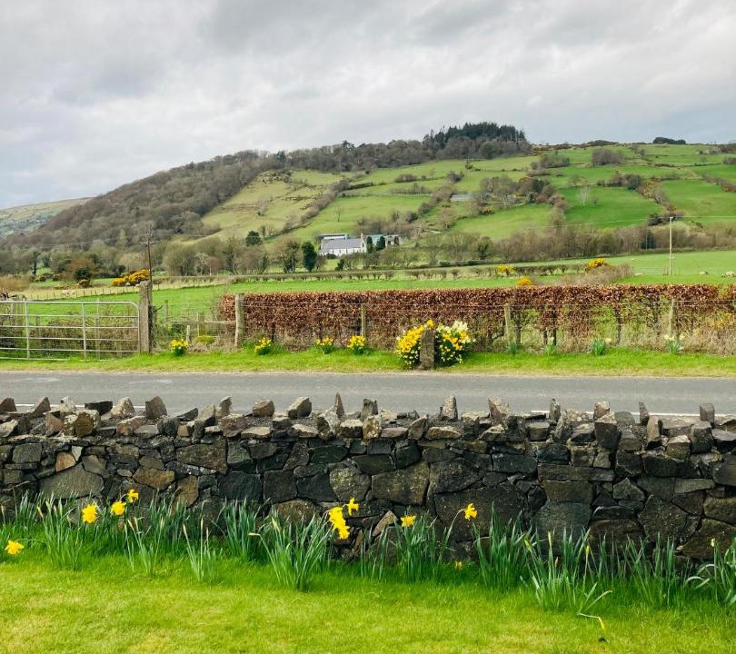Photo of Others in Cushendun