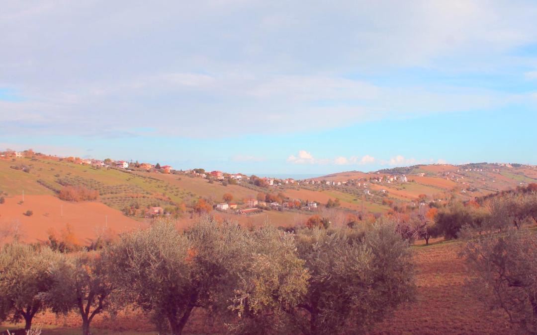 Photo of Others in Fermo