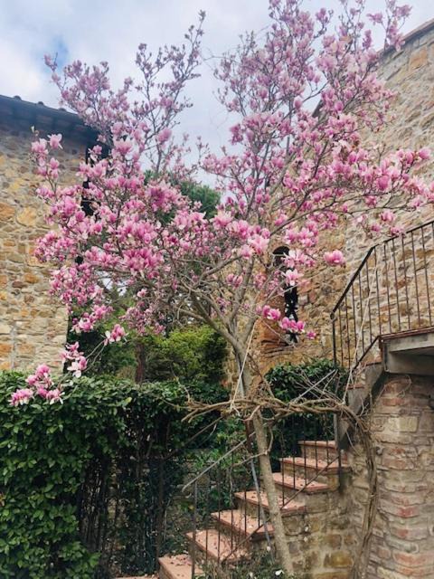 Photo of Others in Greve in Chianti