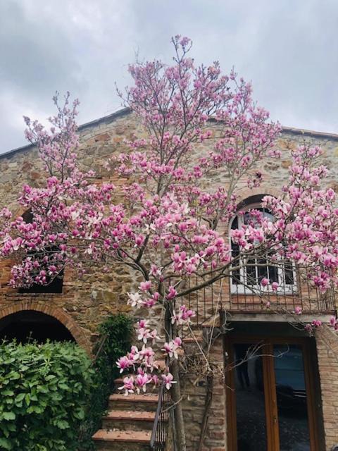 Photo of Others in Greve in Chianti